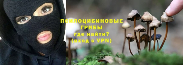 стаф Магадан