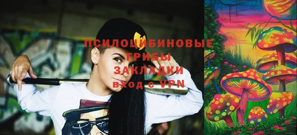 стаф Магадан