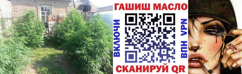 цены наркотик  Шагонар  блэк спрут зеркало  ТГК вейп 