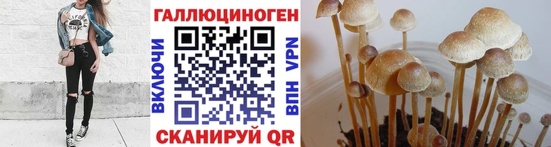 Галлюциногенные грибы мицелий  что такое наркотик  Шагонар 